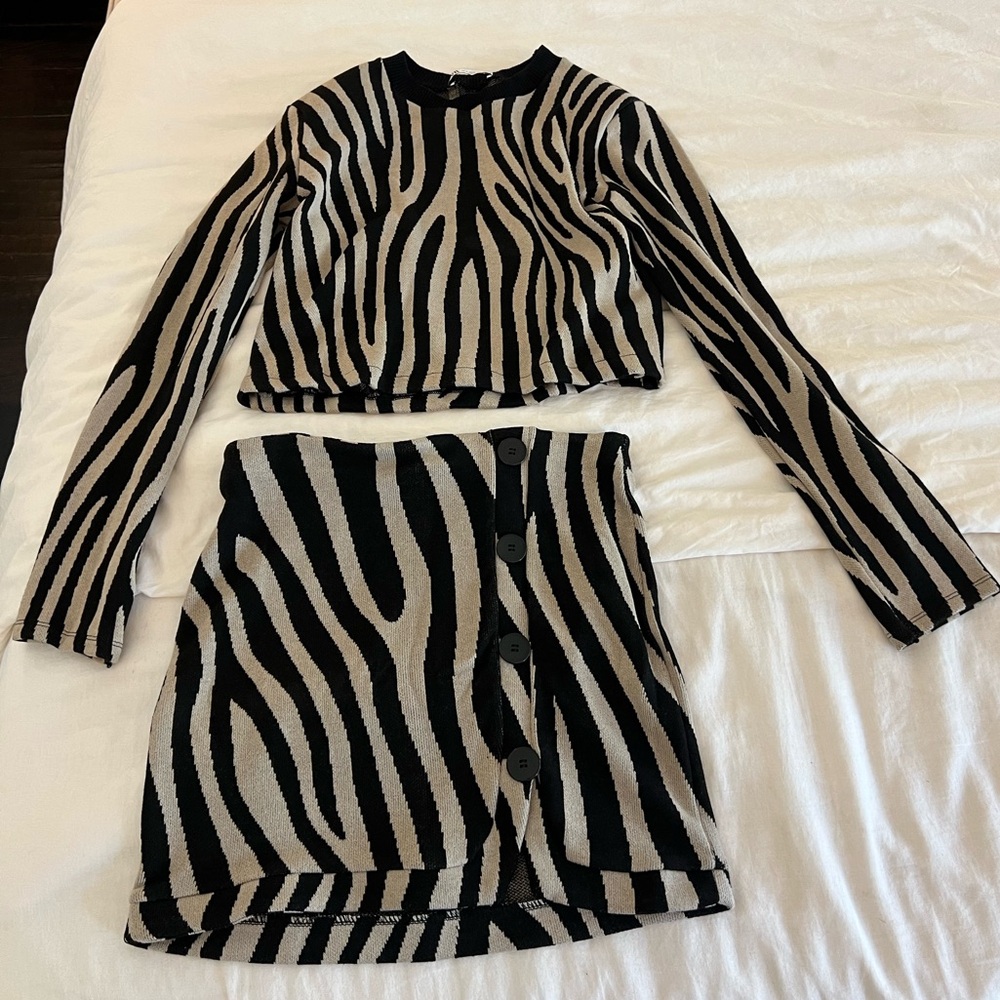 Zara knit top and skirt set